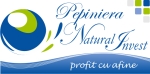 pepiniera natural invest - servicii complete pentru cultura afinului